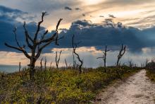 Wasque point on Chappaquiddick Island