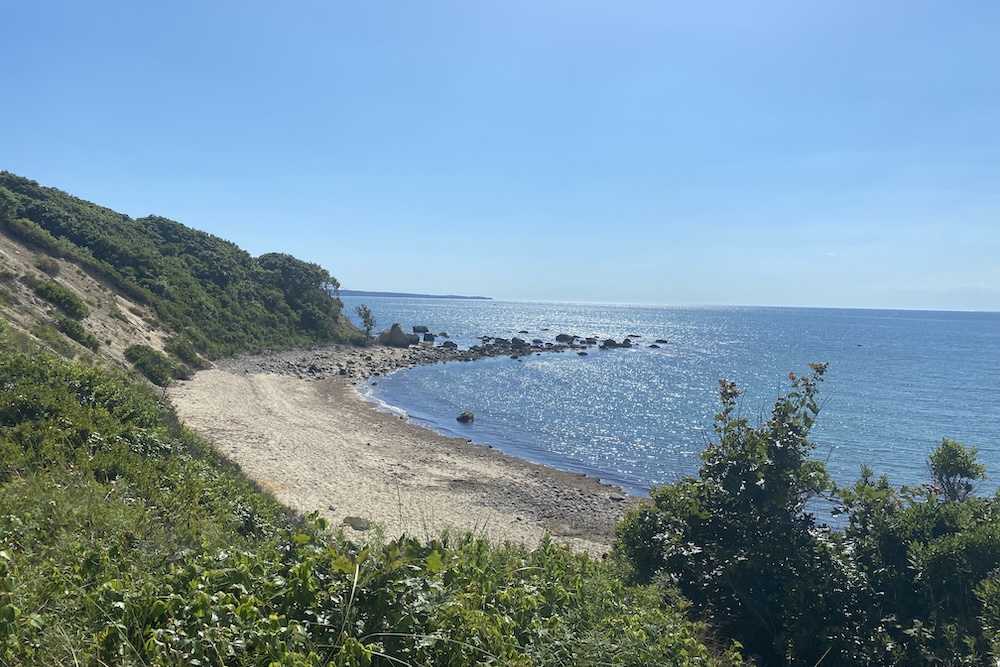 view from hiking trail in Martha's Vineyard